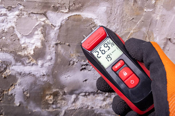 Best Certified Mold Removal  in Ault, CO
