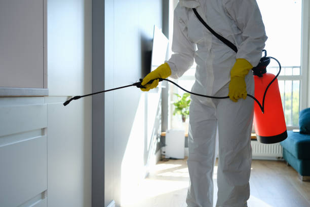 Best Office Mold Removal Services  in Ault, CO